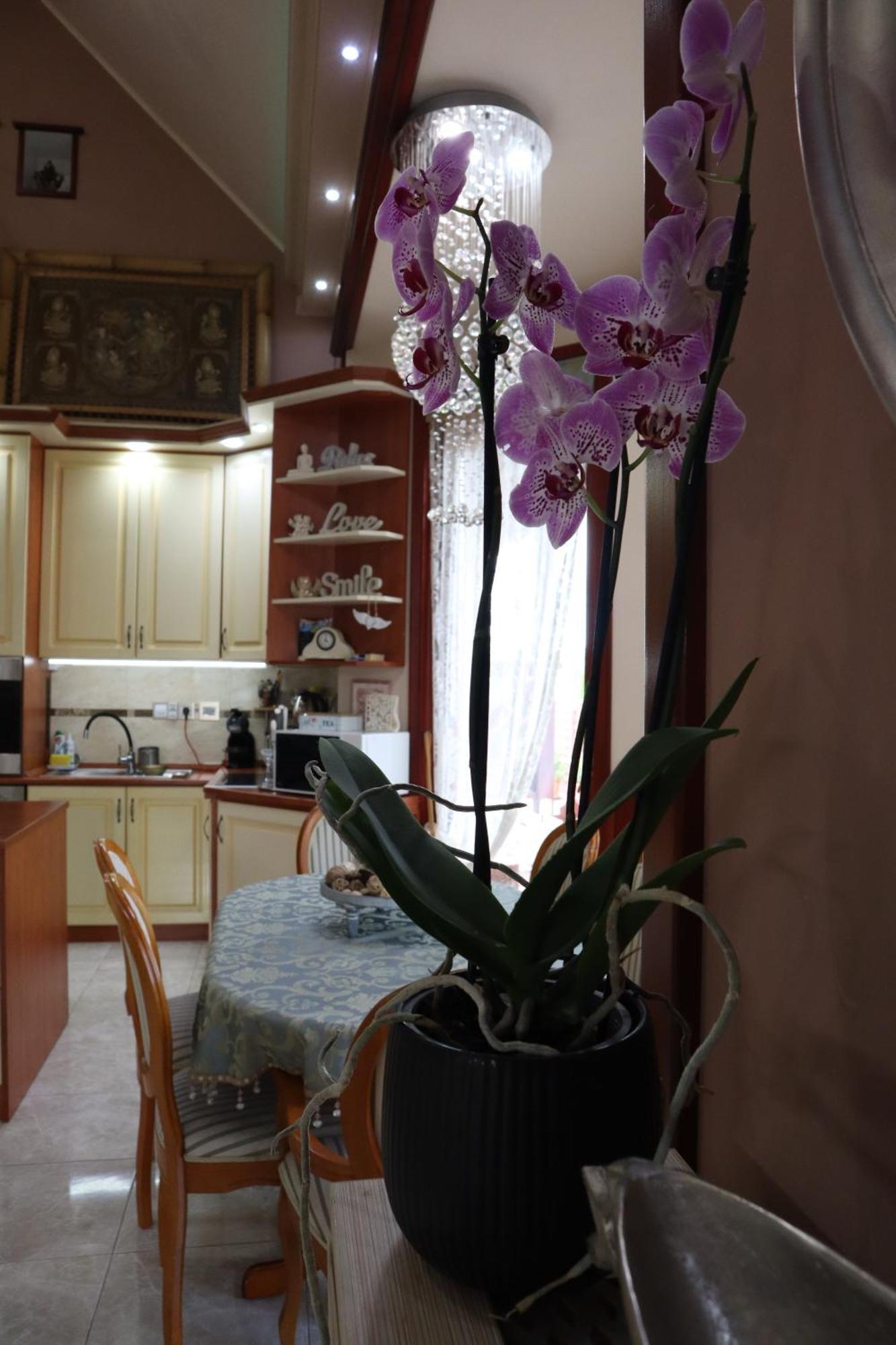 Barackos Wellness Villa Fot Dış mekan fotoğraf